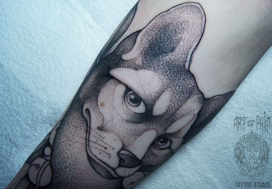 Татуировка мужская дотворк на предплечье кот – Мастер тату: 