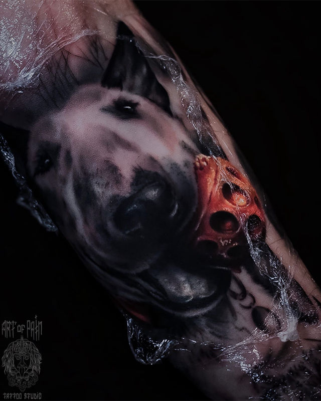 Татуировка мужская реализм на предплечье собака с мячом – Мастер тату: Дмитрий Шейб