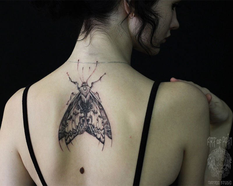 Татуировка женская графика на спине мотылек – Мастер тату: Надежда Полякова