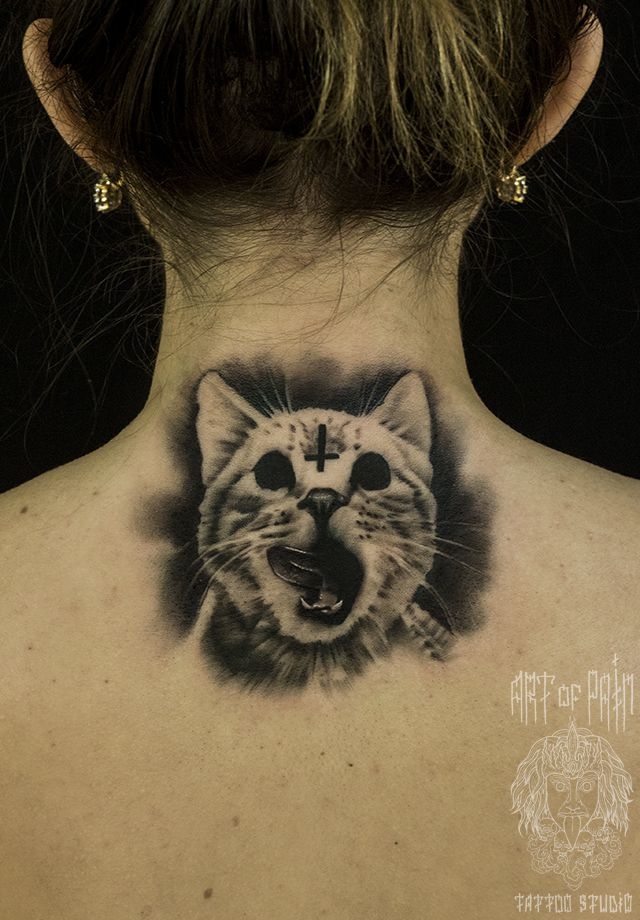 Татуировка женская хоррор на спине кот – Мастер тату: 