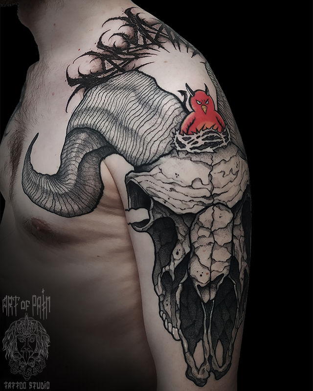 Татуировка мужская графика на плече череп животного – Мастер тату: 