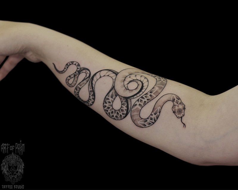 Татуировка женская графика на предплечье змея с узором – Мастер тату: Надежда Полякова