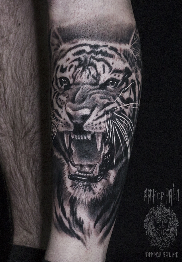 Татуировка мужская реализм на голени тигр – Мастер тату: 