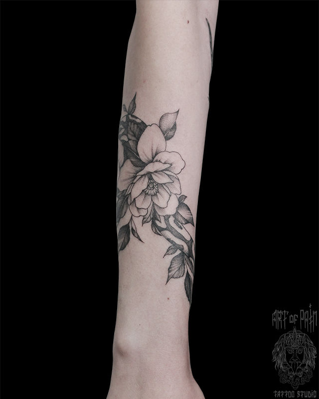Татуировка женская графика на предплечье змея – Мастер тату: Анастасия Родина