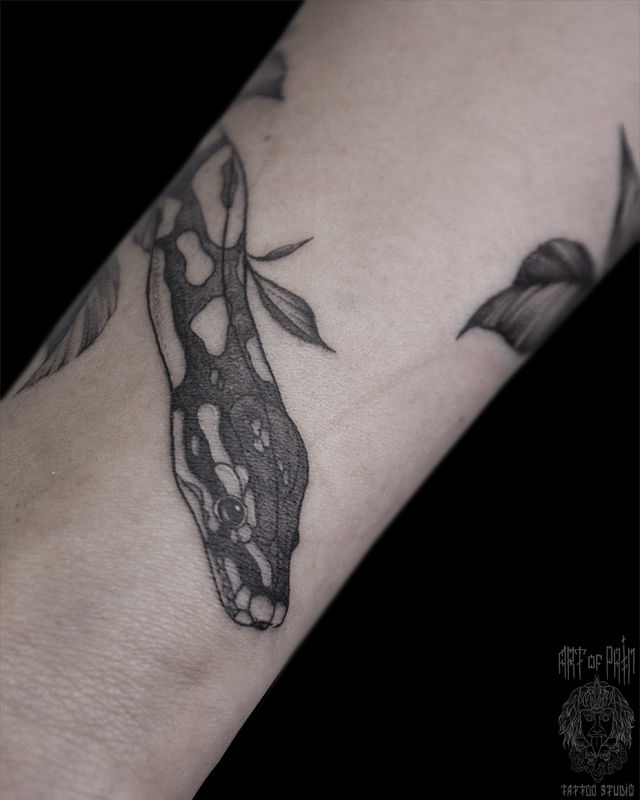 Татуировка женская графика на предплечье пятнистая змея – Мастер тату: Анастасия Родина