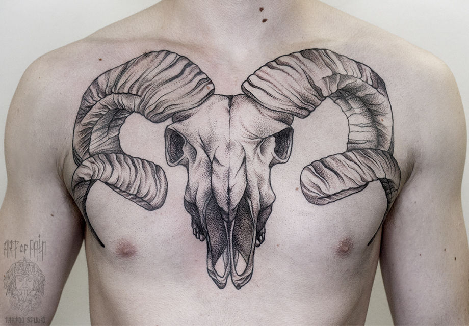 Татуировка мужская графика на груди череп – Мастер тату: 