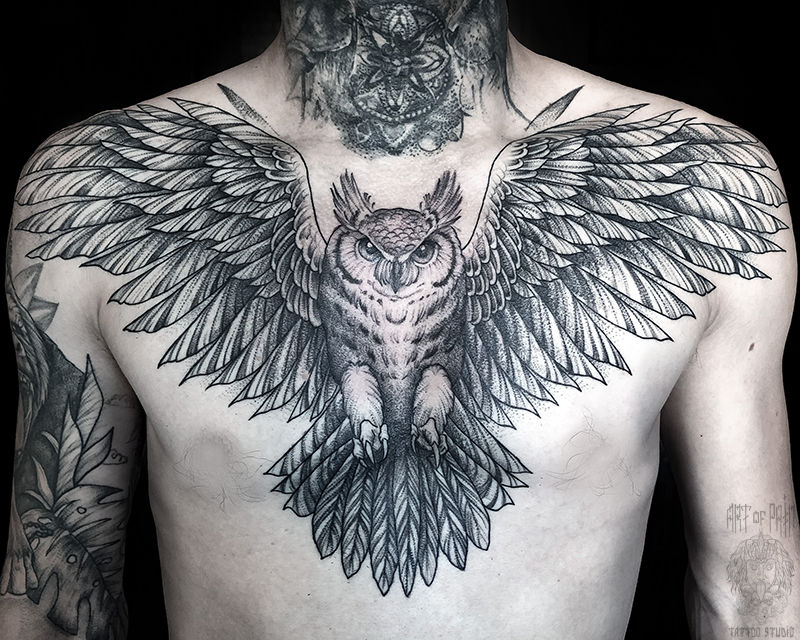 Татуировка мужская графика на груди сова – Мастер тату: Мария Котова
