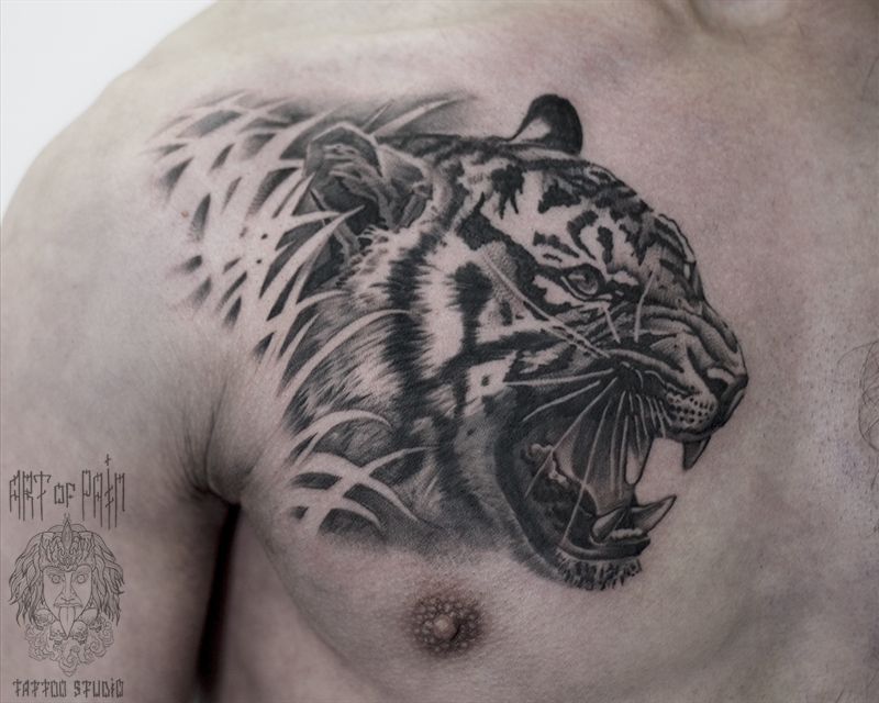 Татуировка мужская графика на груди тигр – Мастер тату: 