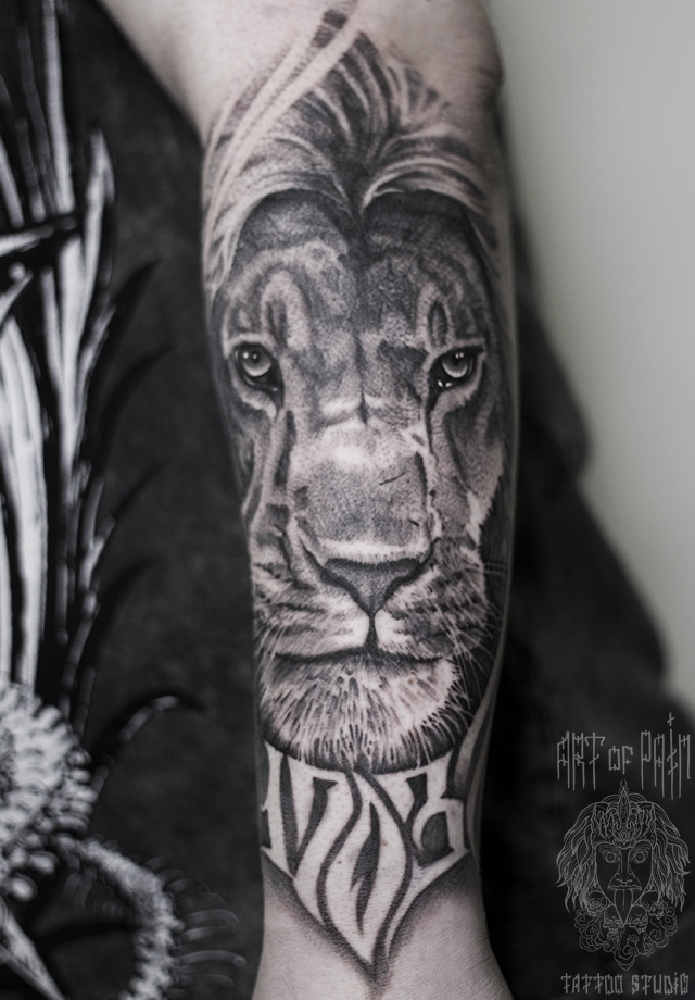 Татуировка мужская реализм на предплечье лев и надпись – Мастер тату: 