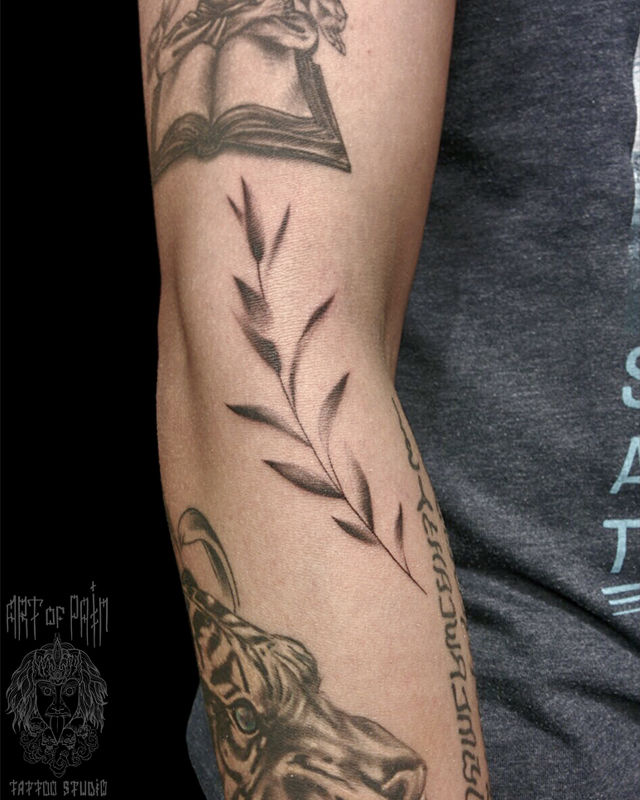 Татуировка женская графика на руке растение – Мастер тату: Евгения Шмидт