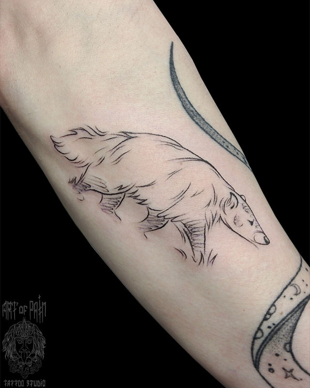 Татуировка мужская графика на предплечье животное – Мастер тату: Евгения Шмидт