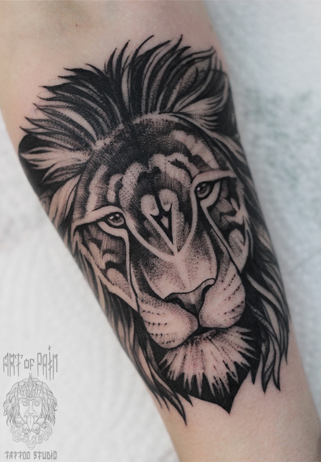 Татуировка женская графика на предплечье лев – Мастер тату: 