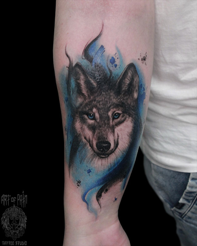 Татуировка мужская реализм на предплечье волк – Мастер тату: Анастасия Родина