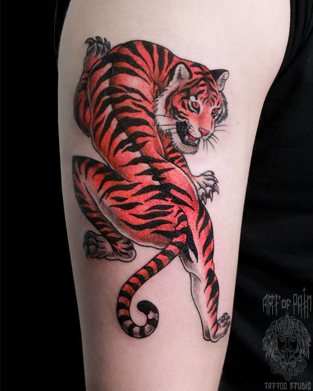 Татуировка женская олд скул на плече тигр – Мастер тату: Анастасия Родина