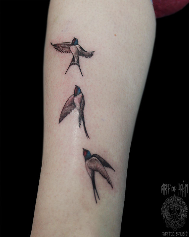 Татуировка женская графика на голени ласточки – Мастер тату: Анастасия Родина