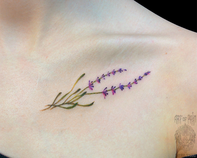 Маленькая цветная татуировка женская графика на ключице цветы – Мастер тату: Евгения Шмидт