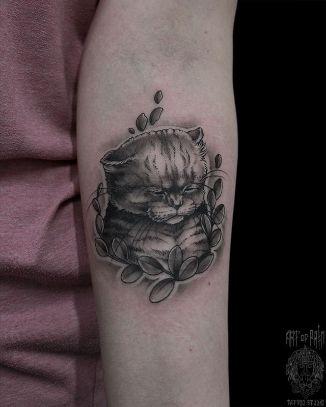 Татуировка женская графика на предплечье полосатый котик – Мастер тату: Мария Челнокова
