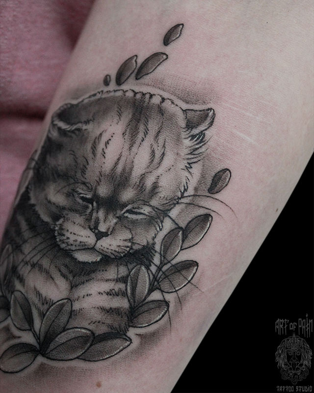 Татуировка женская графика на предплечье полосатый кот – Мастер тату: Мария Челнокова