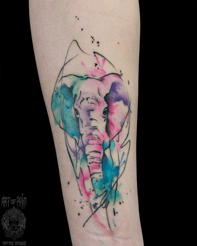 Татуировка женская акварель на предплечье слон – Мастер тату: Анастасия Родина