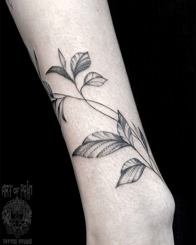 Татуировка женская графика и дотворк на предплечье растение – Мастер тату: Мария Котова