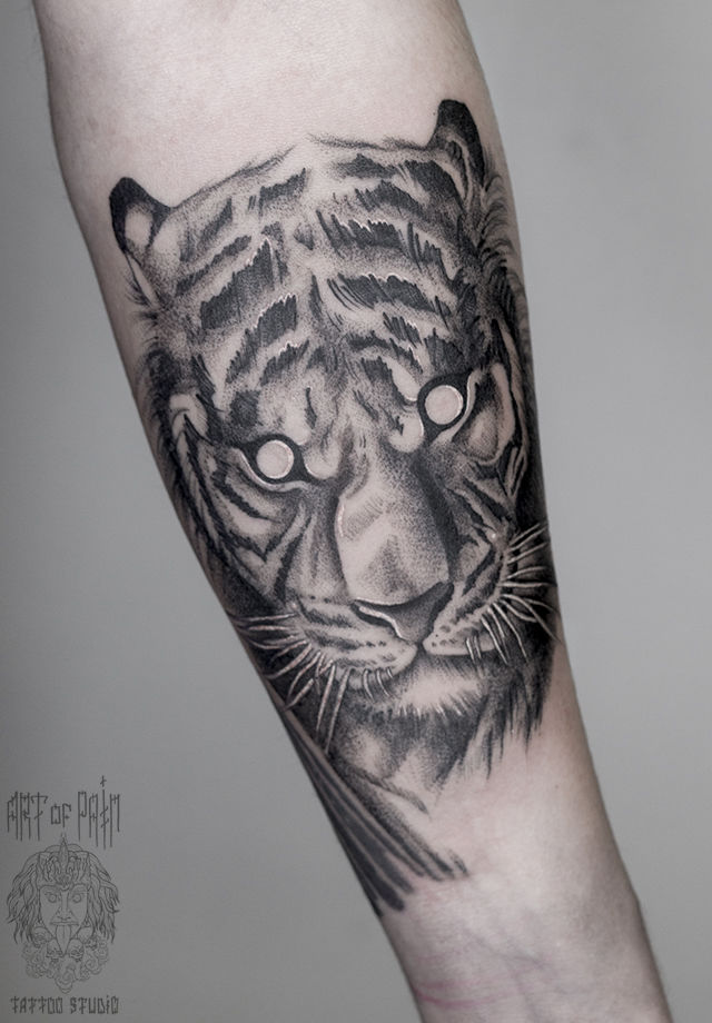 Татуировка мужская графика на предплечье тигр – Мастер тату: 