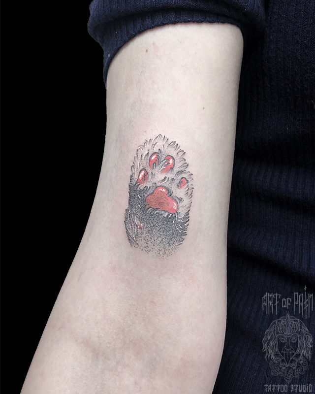 Татуировка женская графика на руке лапка кота – Мастер тату: Мария Котова