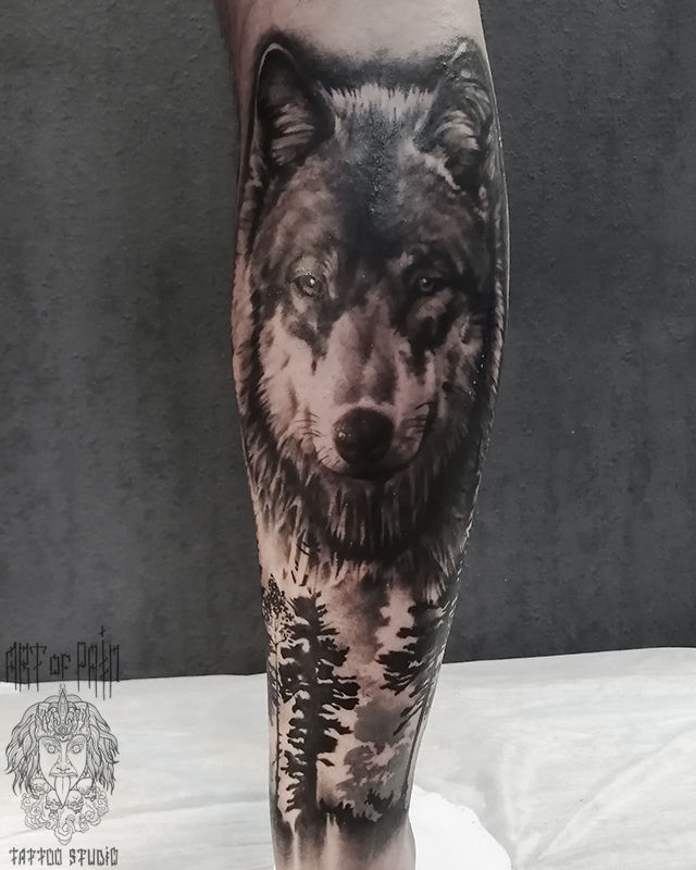 Татуировка мужская реализм на голени волк – Мастер тату: 