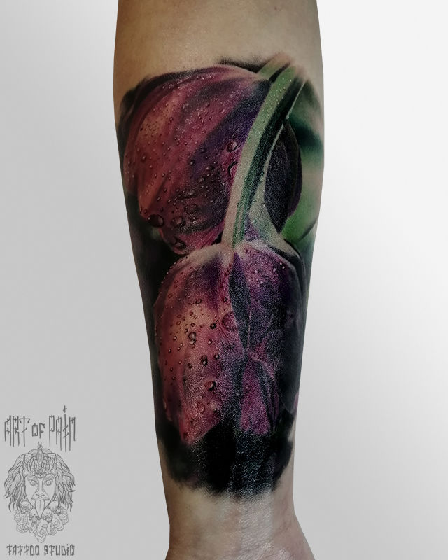 Татуировка женская реализм на предплечье тюльпаны – Мастер тату: 