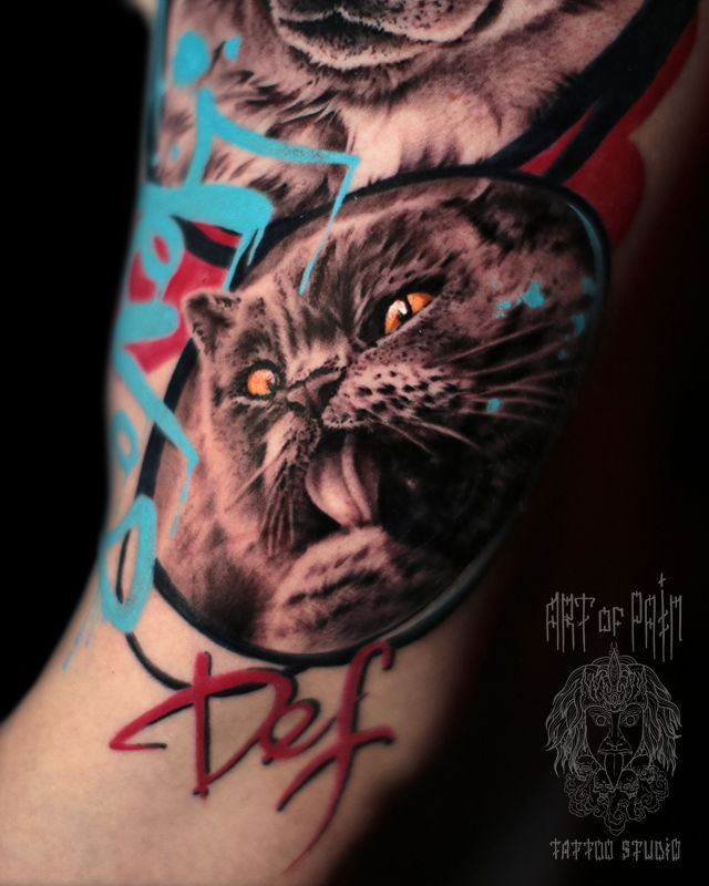 Татуировка мужская реализм на руке кот – Мастер тату: Дмитрий Шейб