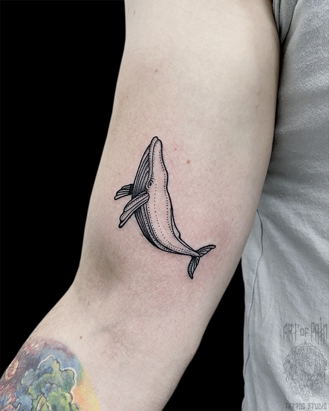 Татуировка мужская графика на руке кит – Мастер тату: Николай Орф