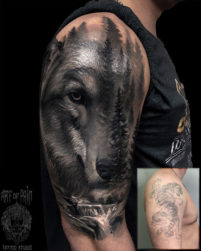 Татуировка мужская реализм на плече волк – Мастер тату: Вячеслав Плеханов