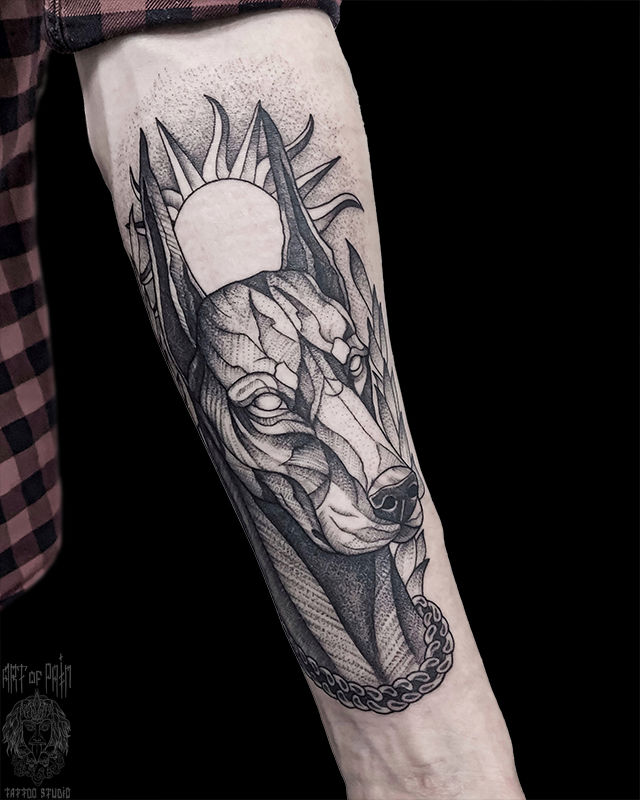 Татуировка мужская графика на предплечье доберман – Мастер тату: Мария Котова