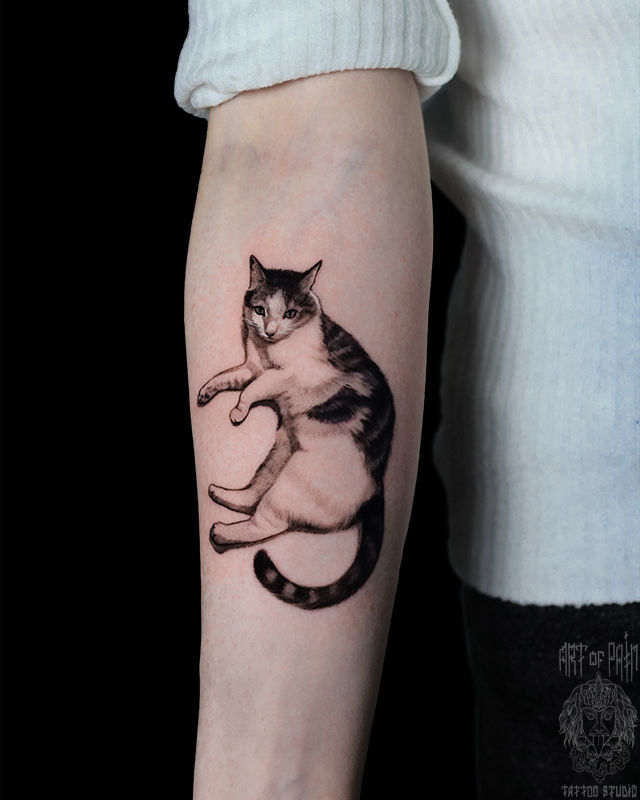Татуировка женская реализм на предплечье черно-белый кот – Мастер тату: Анастасия Юсупова