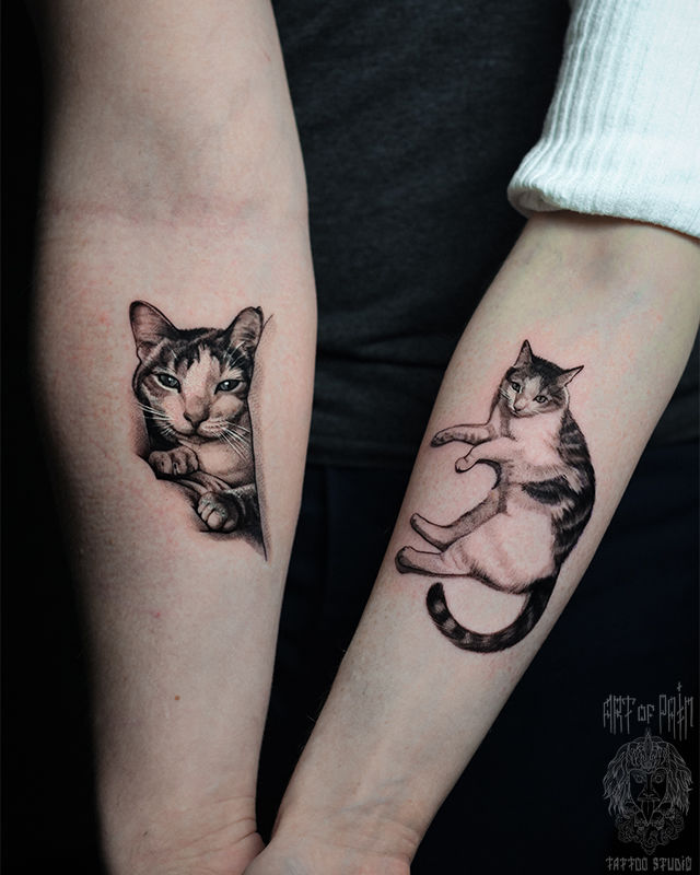 Татуировка парная реализм на предплечьях коты – Мастер тату: Анастасия Юсупова