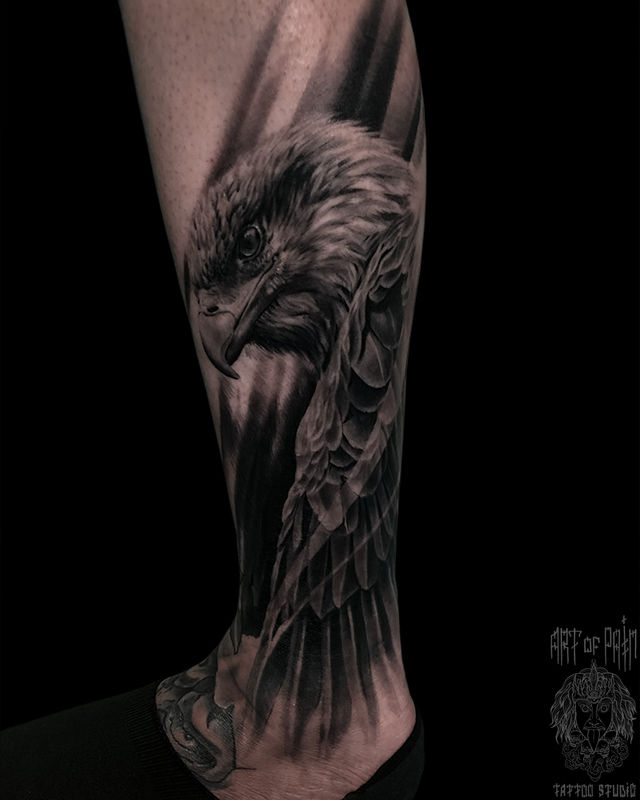 Татуировка мужская реализм на голени орел – Мастер тату: Вячеслав Плеханов