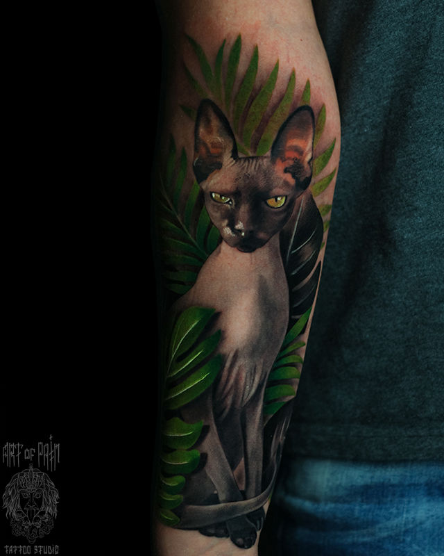 Татуировка женская реализм на предплечье кот сфинкс – Мастер тату: Анастасия Юсупова