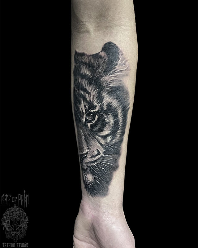 Татуировка мужская реализм на предплечье тигр (черно-белая тату) – Мастер тату: 