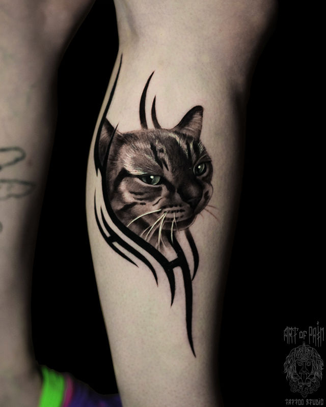 Татуировка женская реализм на голени кот – Мастер тату: Анастасия Юсупова