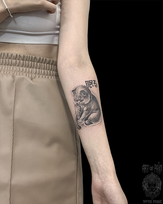 Татуировка женская графика на предплечье котик – Мастер тату: Мария Челнокова