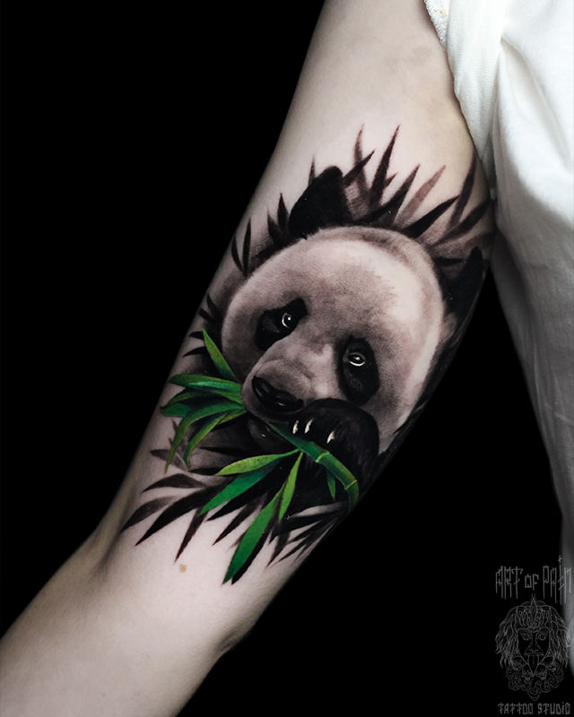 Татуировка женская реализм на руке панда – Мастер тату: Анастасия Юсупова