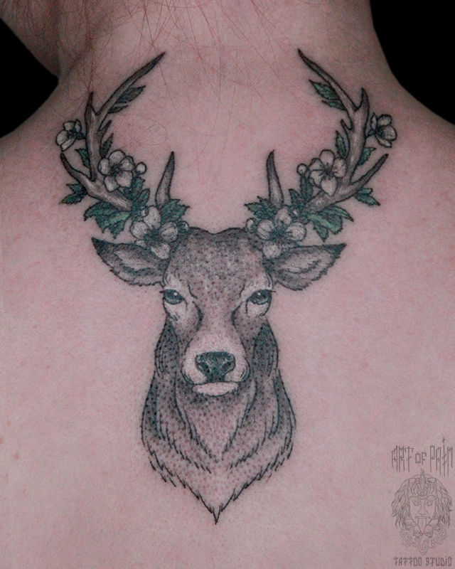 Татуировка женская графика на спине олень – Мастер тату: Анастасия Родина