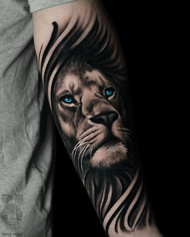 Татуировка мужская реализм на предплечье лев – Мастер тату: Анастасия Юсупова