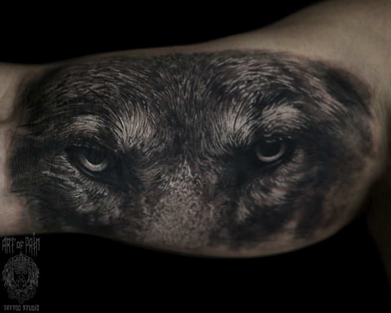 Татуировка мужская реализм на руке волк – Мастер тату: Александр Pusstattoo