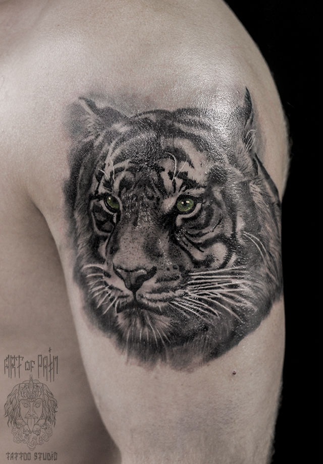 Татуировка мужская реализм на плече молодой тигр – Мастер тату: Александр Pusstattoo