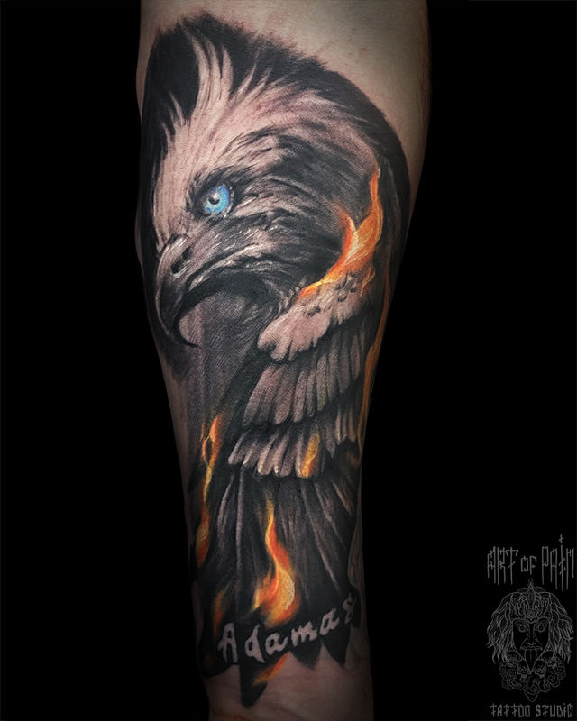 Татуировка мужская реализм на предплечье орел – Мастер тату: 