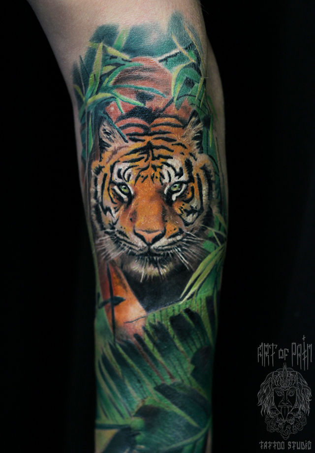 Татуировка мужская реализм на предплечье тигр на охоте – Мастер тату: Александр Pusstattoo