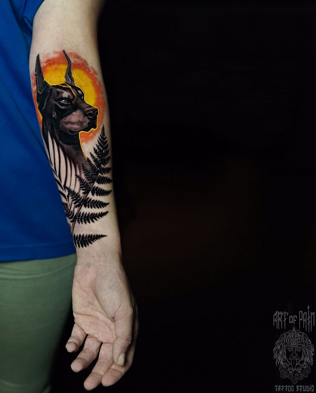 Татуировка мужская реализм на предплечье доберман – Мастер тату: Анастасия Юсупова