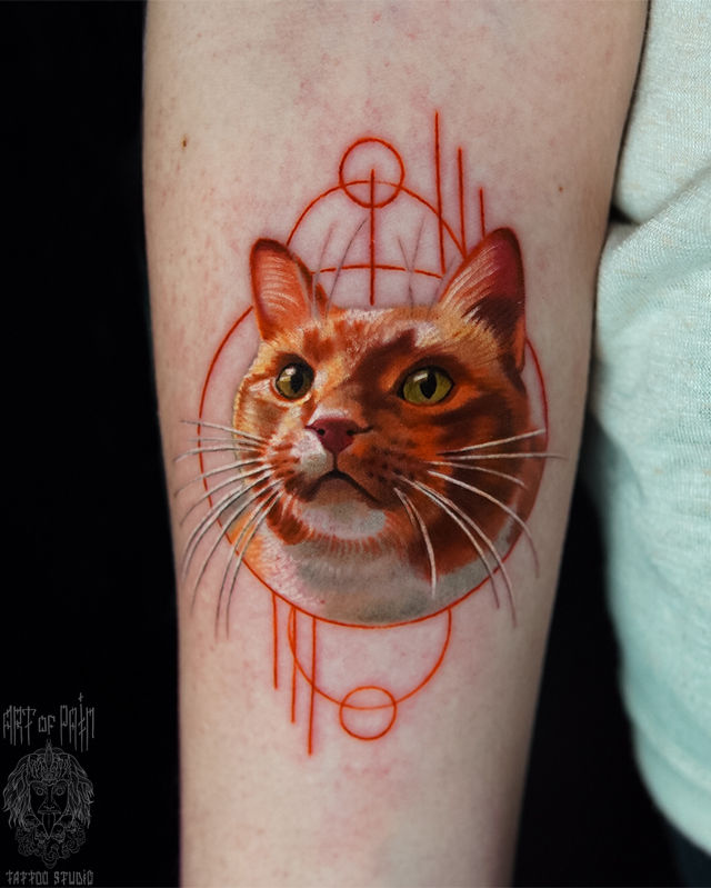 Татуировка женская реализм на предплечье рыжий кот – Мастер тату: Анастасия Юсупова