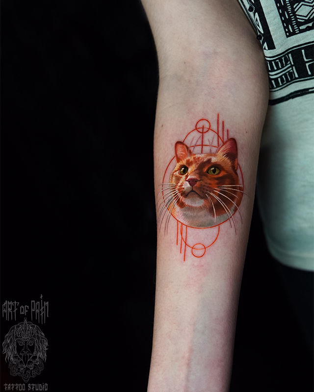 Татуировка женская реализм на предплечье котик – Мастер тату: Анастасия Юсупова