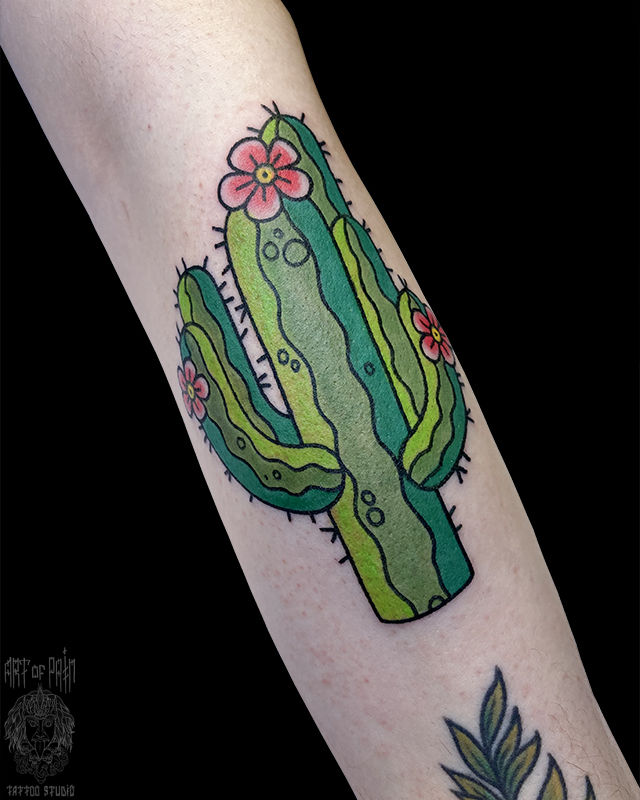 Татуировка женская нью скул на предплечье кактус – Мастер тату: Евгения Шмидт
